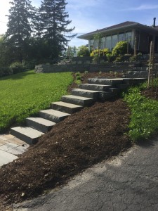 bluestone steps
