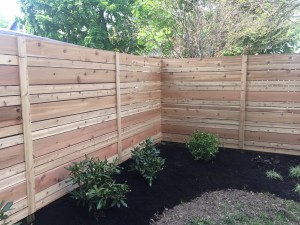 cedar fence