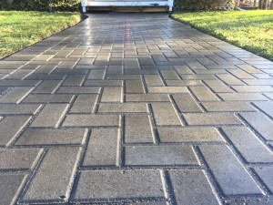 Holland paver walkway