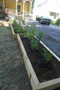 cedar raised bed